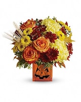 Deluxe size, 13 inches height and 14 inches wide.