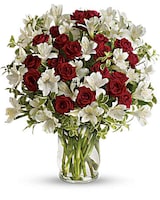 Premium size, 18 and a half inches height and 15 inches wide.