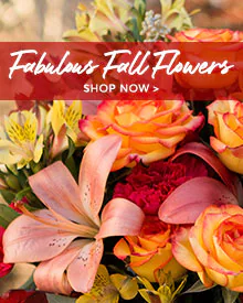 Send Fall Flowers
