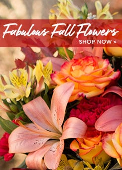 Delivery Fall Flowers