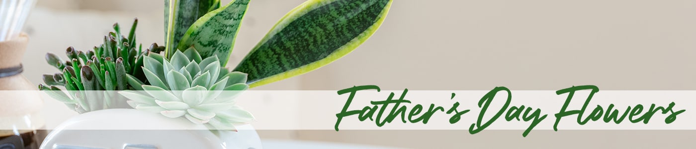 Father's Day Flowers Delivery - Send Father's Day Flowers