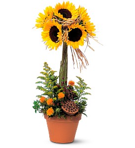 Sunflower Topiary in Kentwood LA, Glenda's Flowers & Gifts, LLC