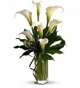 My Fair Lady by Teleflora in Kentwood LA, Glenda's Flowers & Gifts, LLC