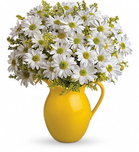 Teleflora's Sunny Day Pitcher of Daisies in Kentwood LA, Glenda's Flowers & Gifts, LLC