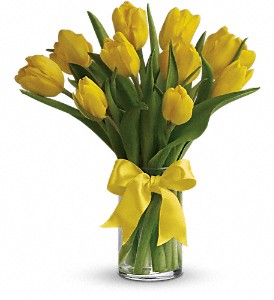 Sunny Yellow Tulips in Kentwood LA, Glenda's Flowers & Gifts, LLC