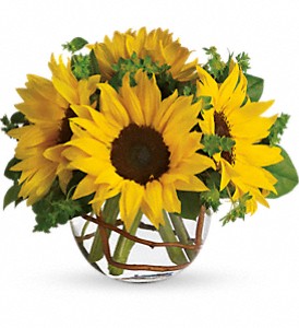 Sunny Sunflowers in Kentwood LA, Glenda's Flowers & Gifts, LLC