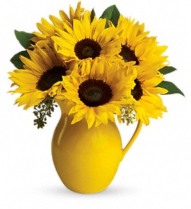 Teleflora's Sunny Day Pitcher of Sunflowers in Kentwood LA, Glenda's Flowers & Gifts, LLC