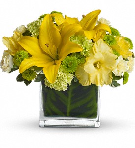 Oh Happy Day by Teleflora in Kentwood LA, Glenda's Flowers & Gifts, LLC