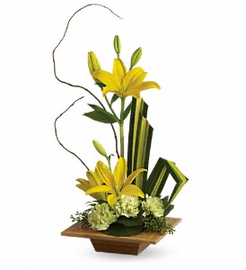 Teleflora's Bamboo Artistry in Kentwood LA, Glenda's Flowers & Gifts, LLC