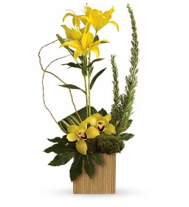 Teleflora's Bamboo Tropics in Kentwood LA, Glenda's Flowers & Gifts, LLC