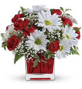 Red And White Delight by Teleflora in Kentwood LA, Glenda's Flowers & Gifts, LLC