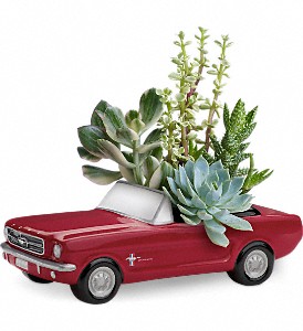 Dream Wheels '65 Ford Mustang by Teleflora in Kentwood LA, Glenda's Flowers & Gifts, LLC