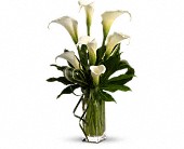 My Fair Lady by Teleflora in Kentwood, Louisiana, Glenda's Flowers & Gifts, LLC