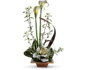 Teleflora's Grand Gesture in Kentwood, Louisiana, Glenda's Flowers & Gifts, LLC