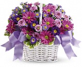 Daisy Daydreams in Kentwood LA Glenda's Flowers & Gifts, LLC