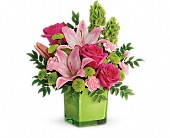 Teleflora's In Love With Lime Bouquet in Kentwood LA Glenda's Flowers & Gifts, LLC